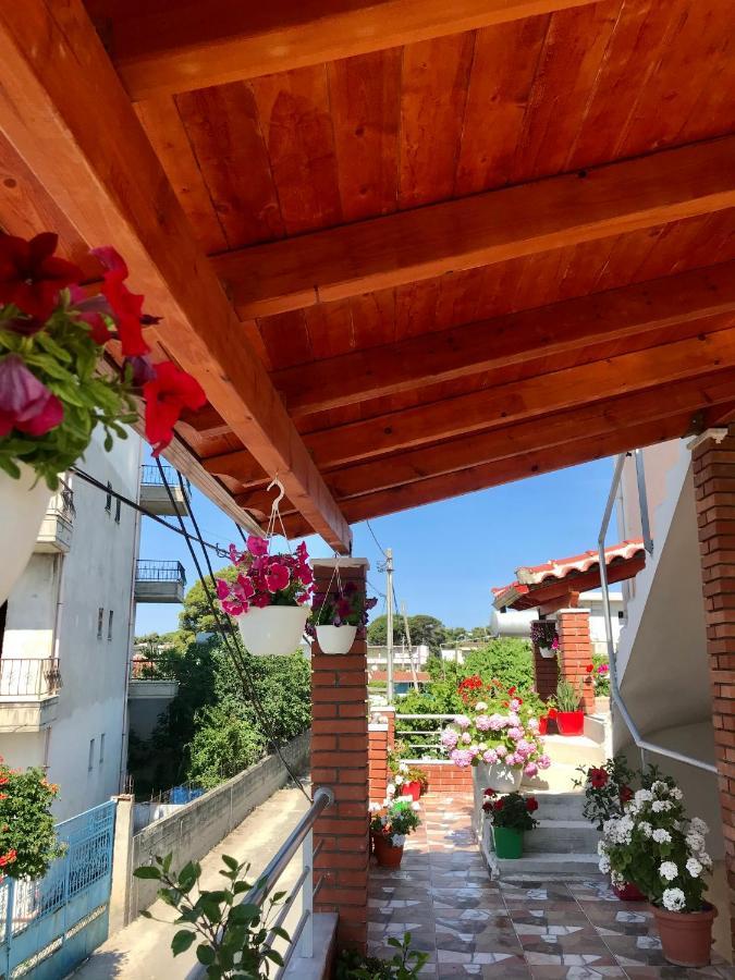 ホテルVila Arlind Vlorë エクステリア 写真